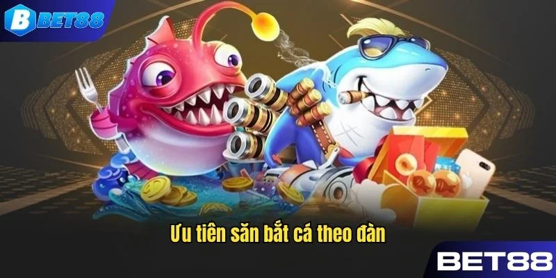 Người chơi cần ưu tiên săn bắt cá theo đàn