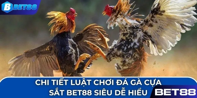 Chi tiết luật chơi đá gà cựa sắt BET88 siêu dễ hiểu