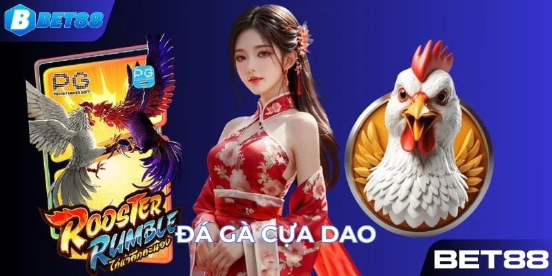 đá gà cựa dao