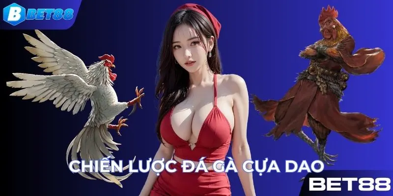 Chiến thuật chơi đá gà cựa dao bất bại từ cao thủ