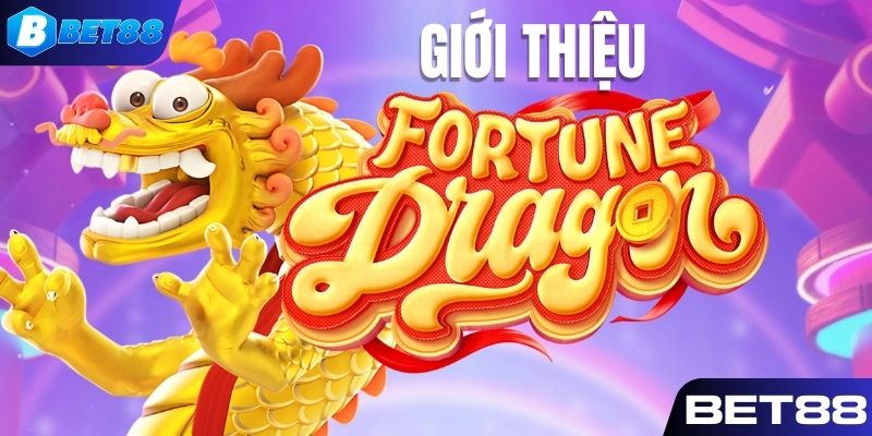 Giới thiệu game Dragon Fortune