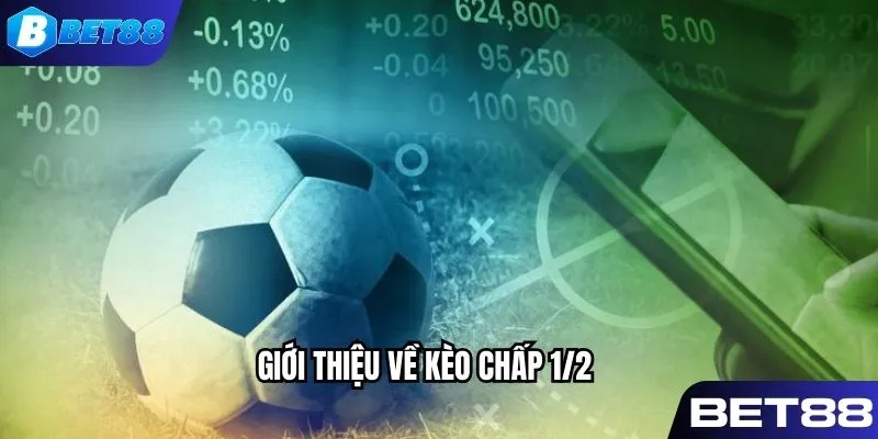 Tổng quan về định nghĩa về kèo chấp 1/2