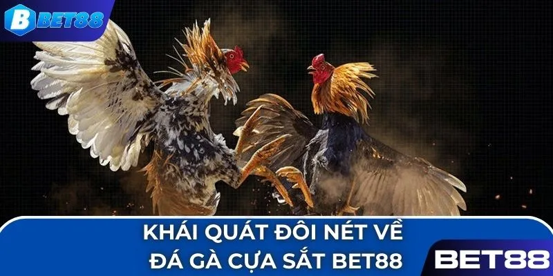 Khái quát đôi nét về đá gà cựa sắt BET88